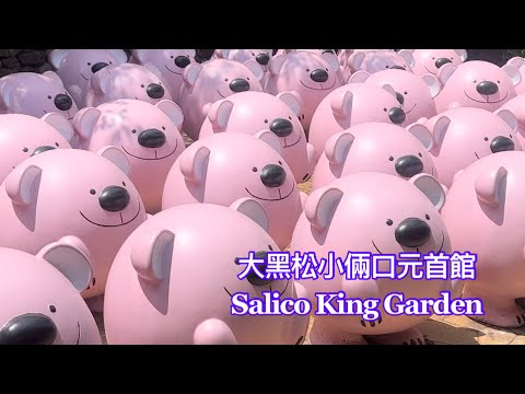 Jardim Salico King Nantou Puli