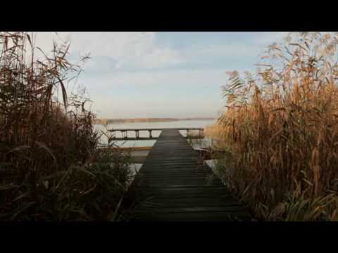 Ariadne's Thread Trailer