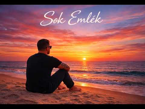 Wukovics Zoli - Sok emlék ( WZmusic Remix )