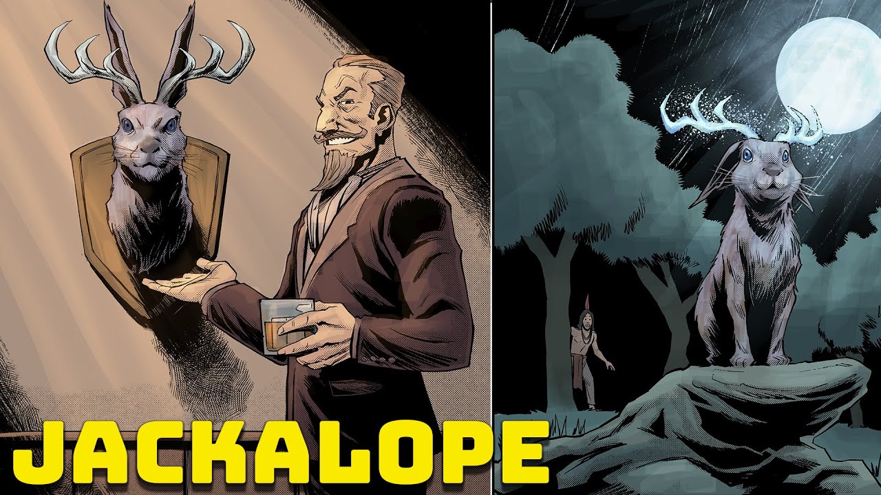 Jackalope – O Estranho Coelho com Chifres do Folclore Norte-Americano