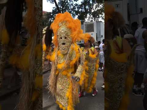 Thumbnail for Th Mardi Gras Indians doing their Strut by honoring Jazz Legend Louis Armstrong in New Orleans! by Lit (band)