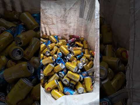 PROJETO LIMPANDO COM ALEGRIA 2024 PONTALINDA NA LUTA CONTRA A DENGUE.
