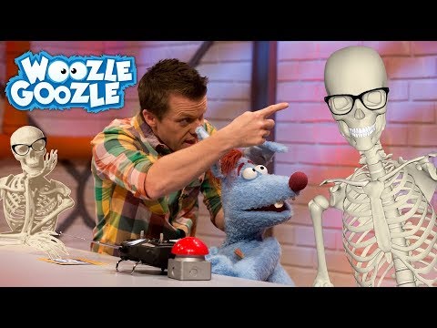 Wie viele Knochen hat ein Mensch? l WOOZLE GOOZLE