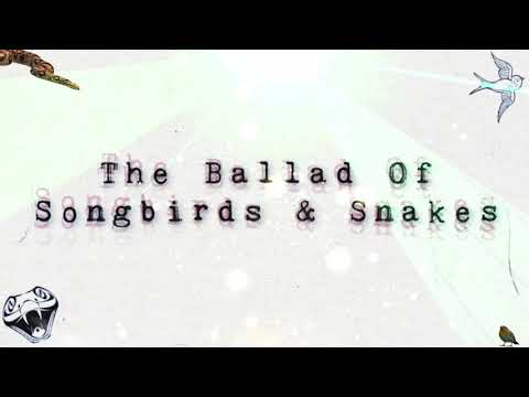 Lil Buoy - B.P.D. (Official Visualizer)