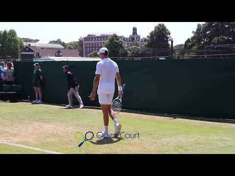 WImbledon 2019: Schnur loses in qualifying final round