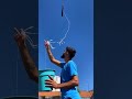 Big Balloon Flying And Kite Kite Kiteflying Basant Patang