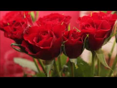 Ana mali fihash-Abdullah Mahdawi- عبدالله المهداوي - انا مالي  فيها