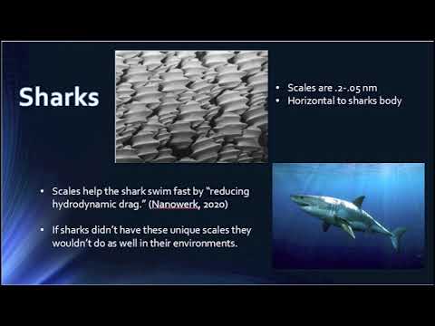 Nanotechnology In Tennis by Kara Scott