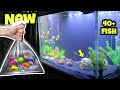 Download New 3 Feet Fish Tank Setup Adding Fish Aquarium Decoration Mp3 Song
