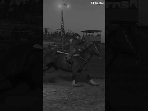 , title : 'The Moon 🌙 🥰#barrelracing #rodeo #bay #horse #brooklyn'