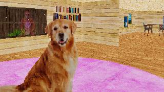 Taking Care of a Dog, But It's Horror