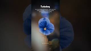 Download lagu Kata kata Pendosa Hijrah mp3 Download lagu Kata kata Pendosa Hijrah mp3