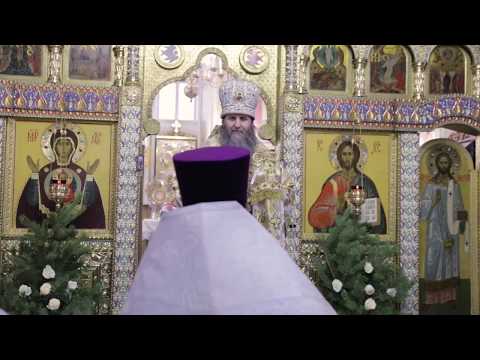 Митрополит Даниил: Рождественские богослужения наполнены необычайной радостью