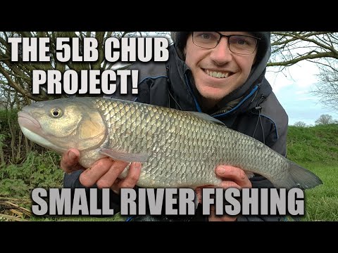 The 5lb Chub Project - Small River Fishing