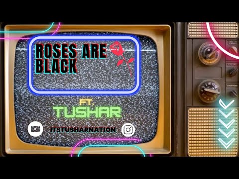 Tushar Pandit  Roses are b...