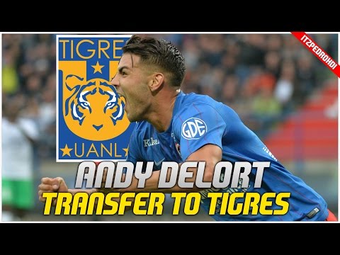 TIGRES NEW TRANSFER ANDY DELORT