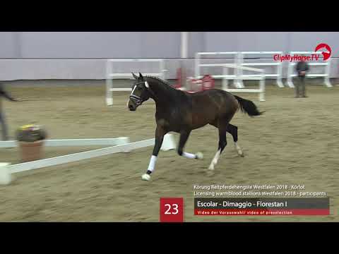 23 Hengst v. Escolar - Dimaggio - Florestan I