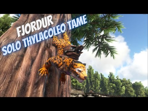 2023 UPDATED - SOLO THYLACOLEO TAME FJORDUR (ARK SURIVIVAL EVOLVED)