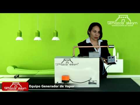 Baño De Vapor Para 8m3 Baño Sauna Residencial Generador | Mercado Libre