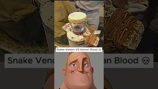 Snake Venom Turns Blood into Jelly in Seconds! #shorts
