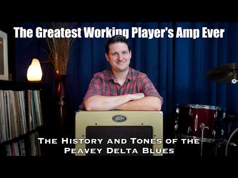 Peavey Delta Blues 115 30W 1x15" Guitar Combo Amp 2010s - Tweed image 7
