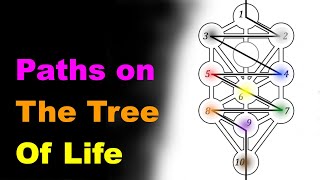 Paths on the Tree of Life [Esoteric Saturdays]