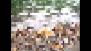 &quot;Feeling Yourself Disintegrate&quot; (Flaming Lips), performed by Christopher Smith