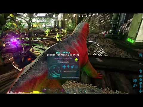 Ark RR-Dekomod und Hausbau