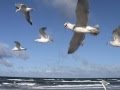 Übers Meer