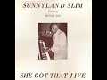 Sunnyland Slim She Got That Jive