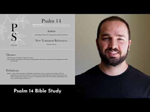 Psalm 14 Summary: 5 Minute Bible Study