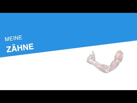 MEINE ZÄHNE | Biologie | Biologie des Menschen (Mittelstufe)