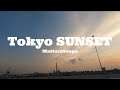 首都高速からの夕焼け EDM 概要欄からダウンロードできます Playlist On Betters