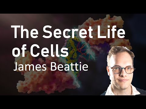 The Secret Lives of Cells - James Beattie