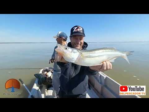DELPESCADORTV651. PEJERREYES EN  VIAMONTE.
