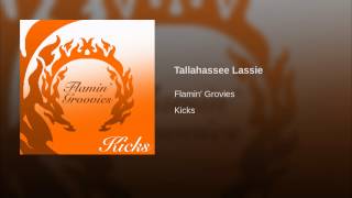 Tallahassee Lassie