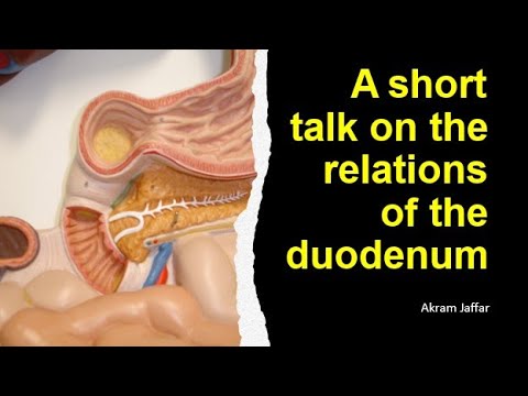 Ubicación anatómica del duodeno