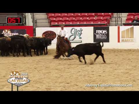 SJR Diamond Rey shown by Corey Cushing - 2016 Stallion Stakes (Herd)