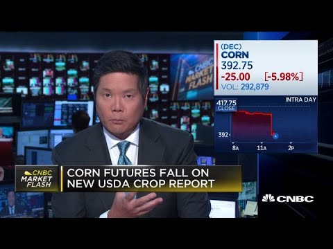download lagu mp3 mp4 Usda Report, download mp3 Usda Report free download mp3, download mp3 Usda Report
