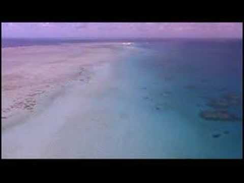 Rachael Starr * To Forever * (Moonbeam Remix) Tiesto VIDEO