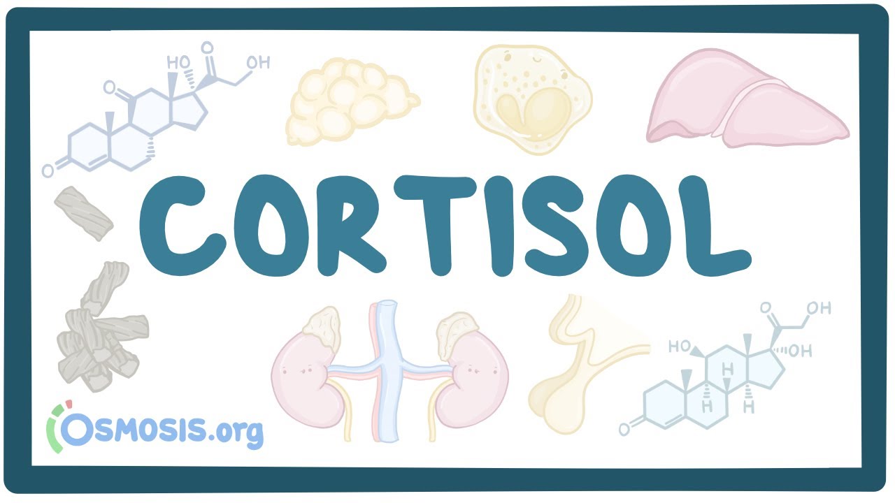 Cortisol