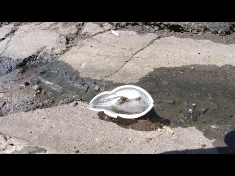Dengue coloca Rio Claro em alerta