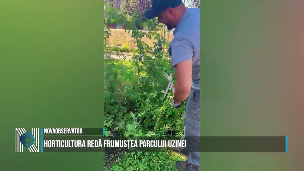 Horticultura redă frumusțea Parcului Uzinei