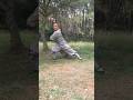 Shaolin Five Elements Sixteen Methods Kungfu
