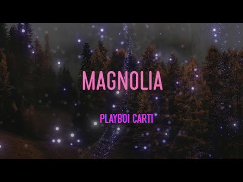 Playboi Carti - Magnolia Lyrics | In New York I Milly Rock, hide it in my sock