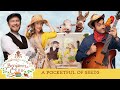 A Pocketful Of Seeds Benjamin Cello Season One Episode Five