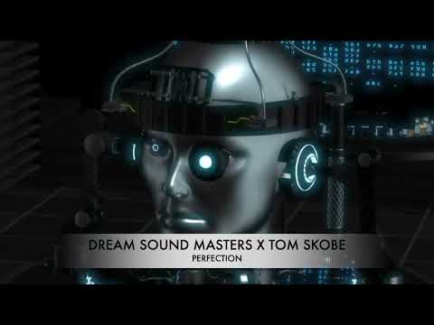 Dream Sound Masters x Tom Skobe - Perfection (Official Video)