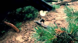 Eels- Love of the Loveless