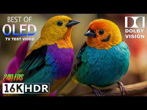 Breathtaking 16K HDR Dolby Vision 240FPS | Peaceful Nature Scenes (4K/8K TV)