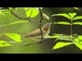 Emiliana Torrini - Birds